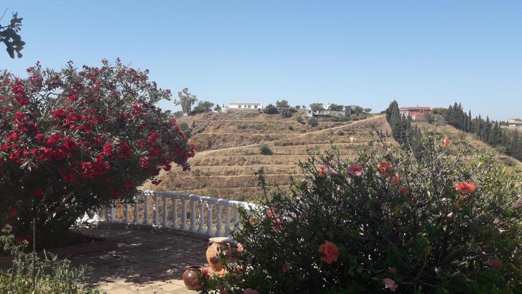 B & B Finca Sencilla ميخاس المظهر الخارجي الصورة